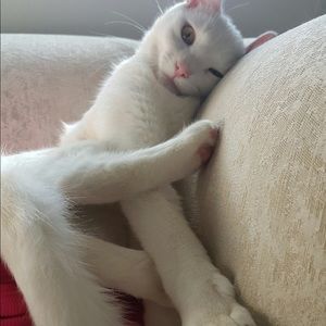 Meet your Posher, Sandra